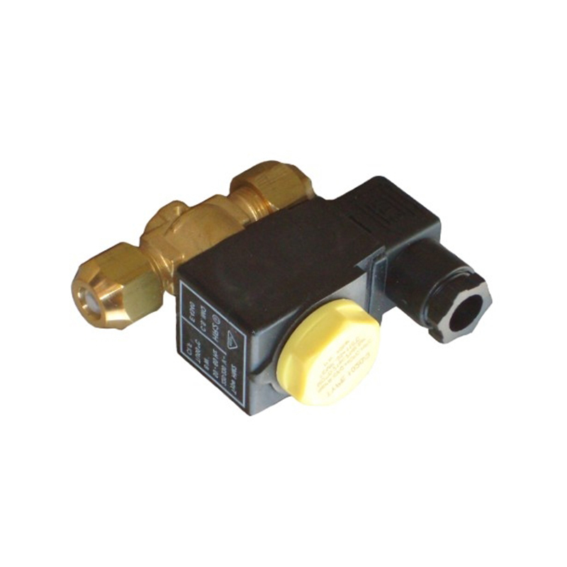Valva solenoidă